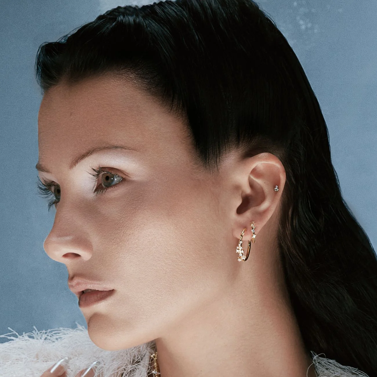 Arctique - Image 2