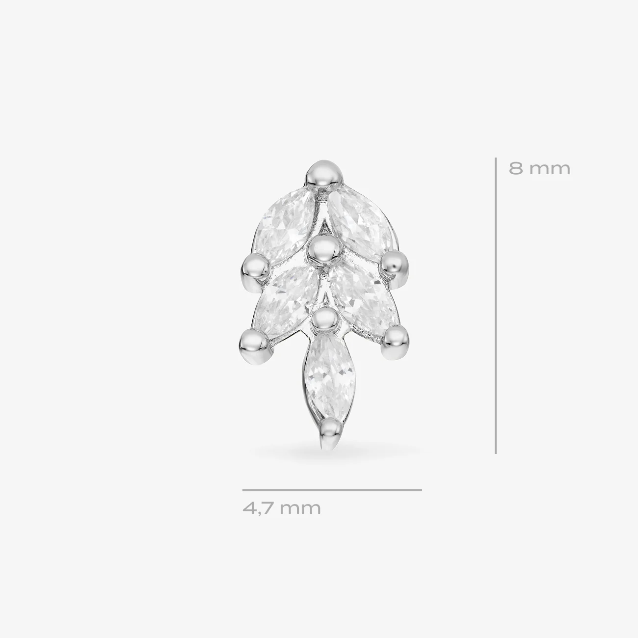 Dominante - Image 11