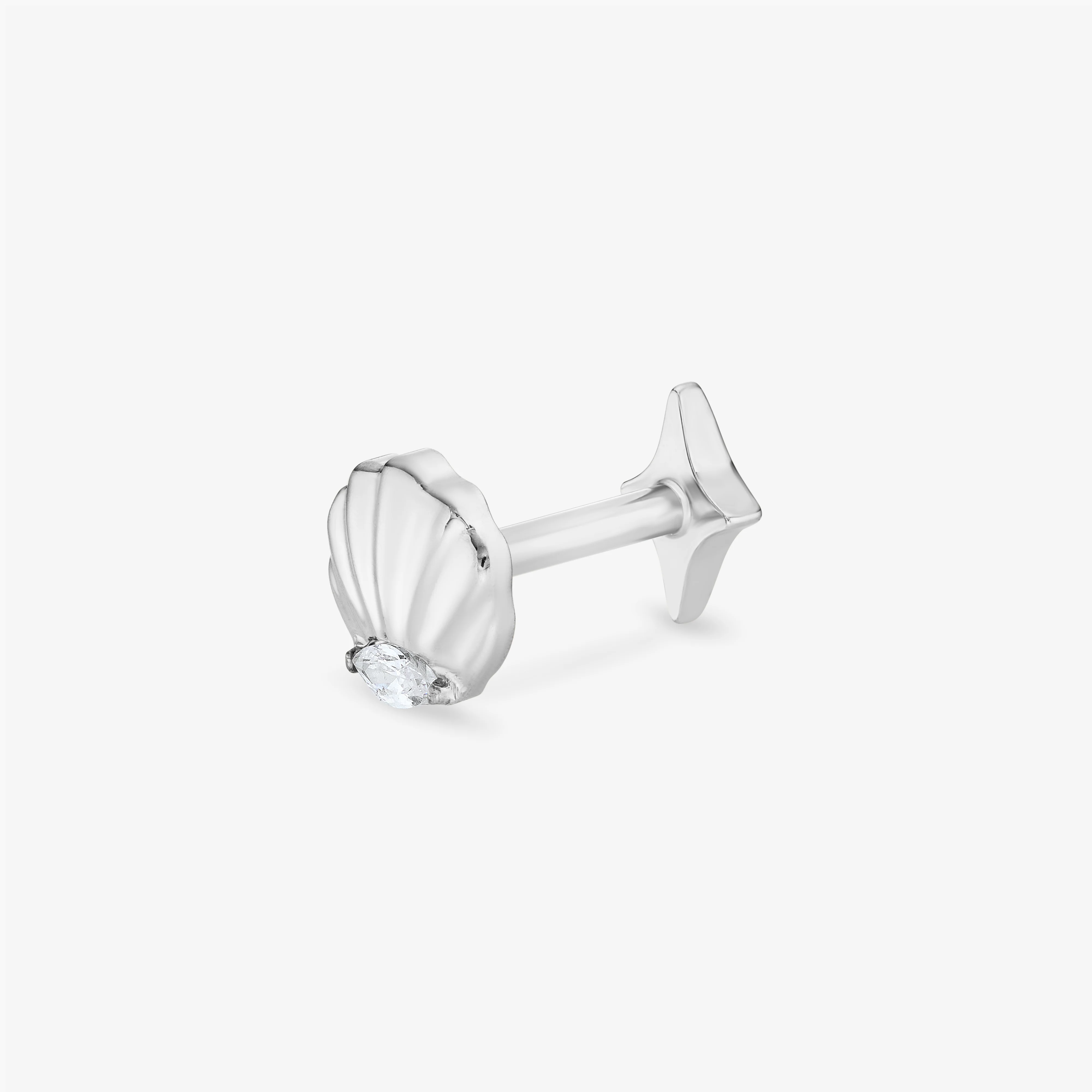 Seashell Titane - Image 7