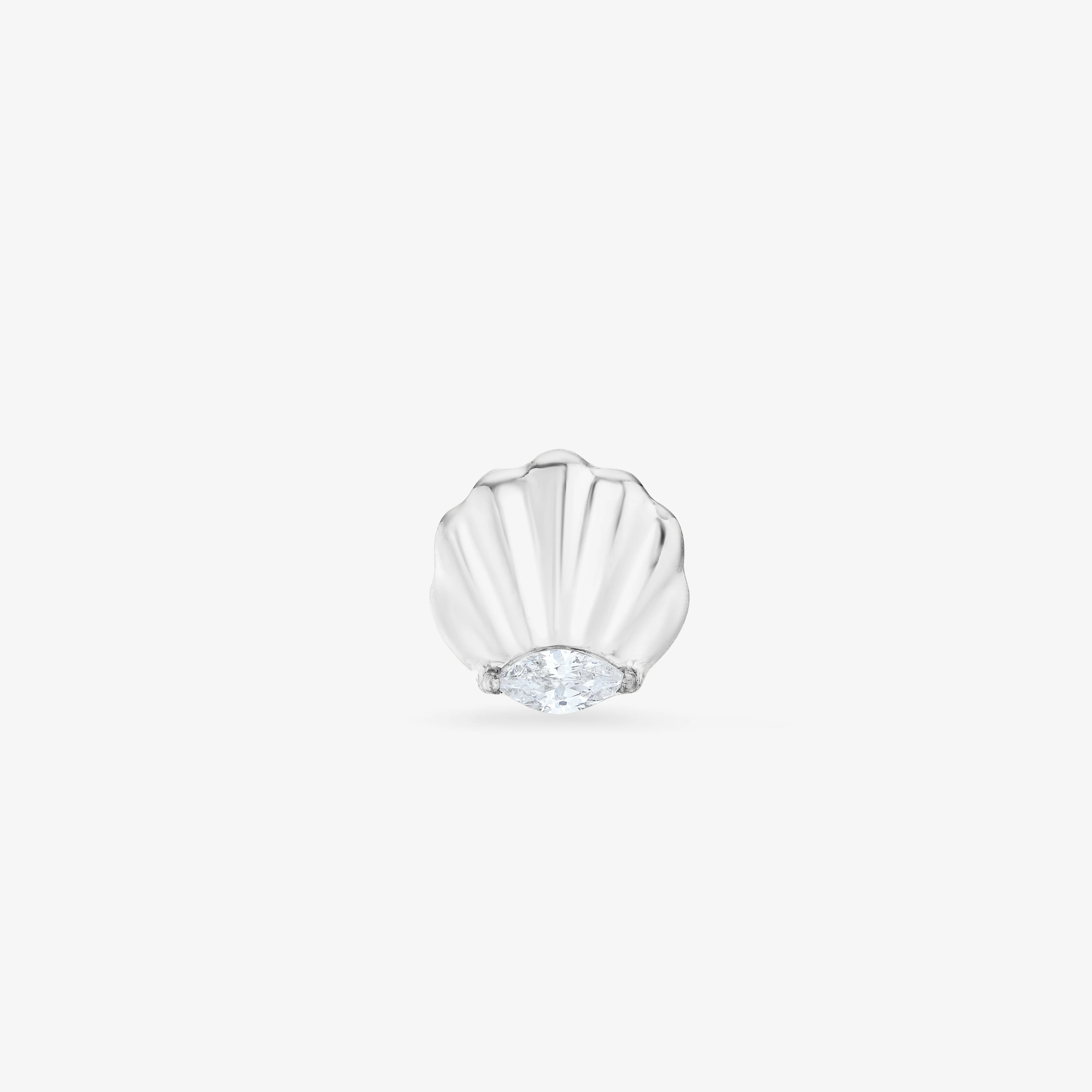 Seashell Titane - Image 8